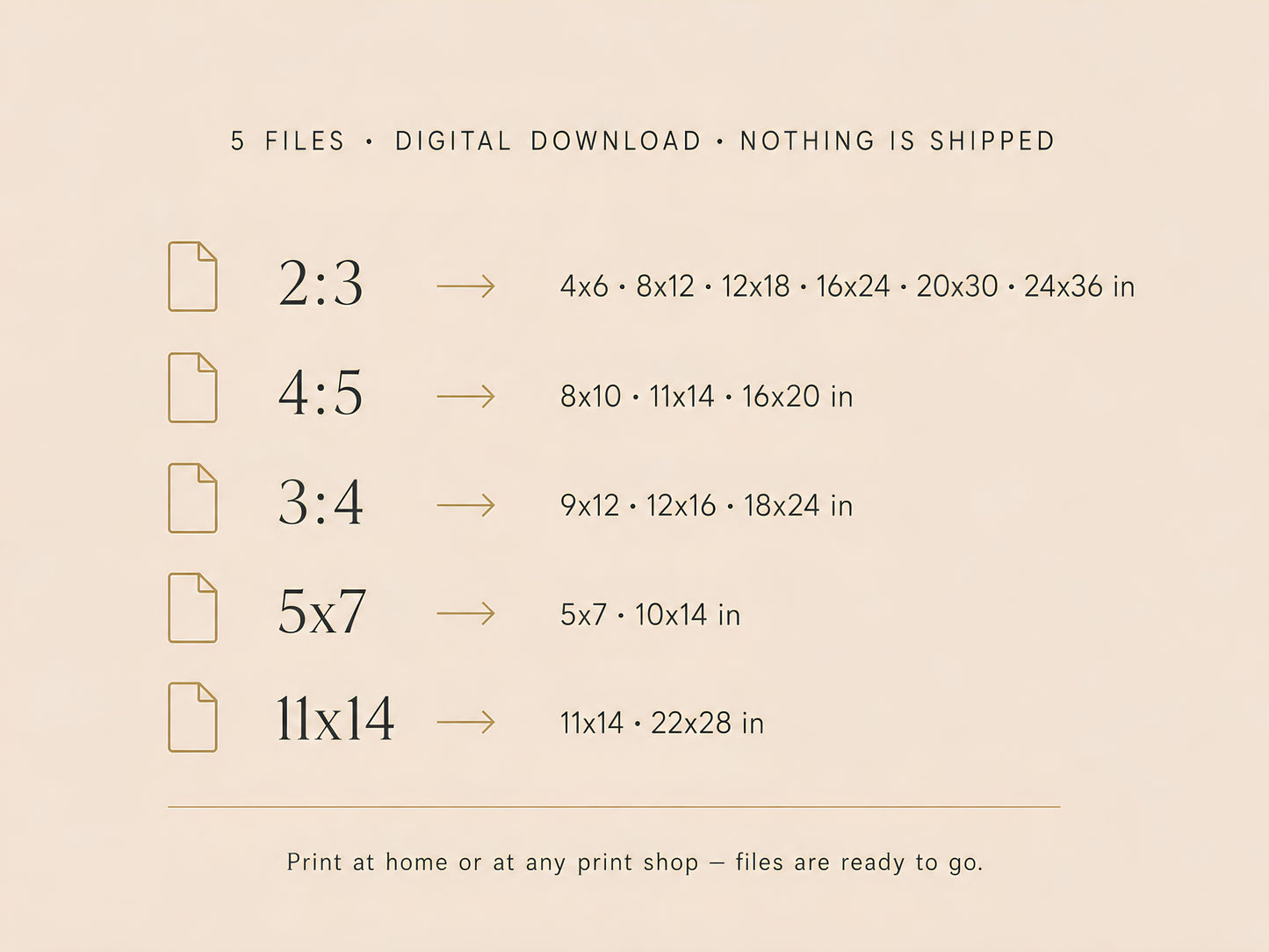 What's Included size chart listing five file ratios: 2:3, 4:5, 3:4, 5×7 and 11×14 with all corresponding print sizes on a cream background
