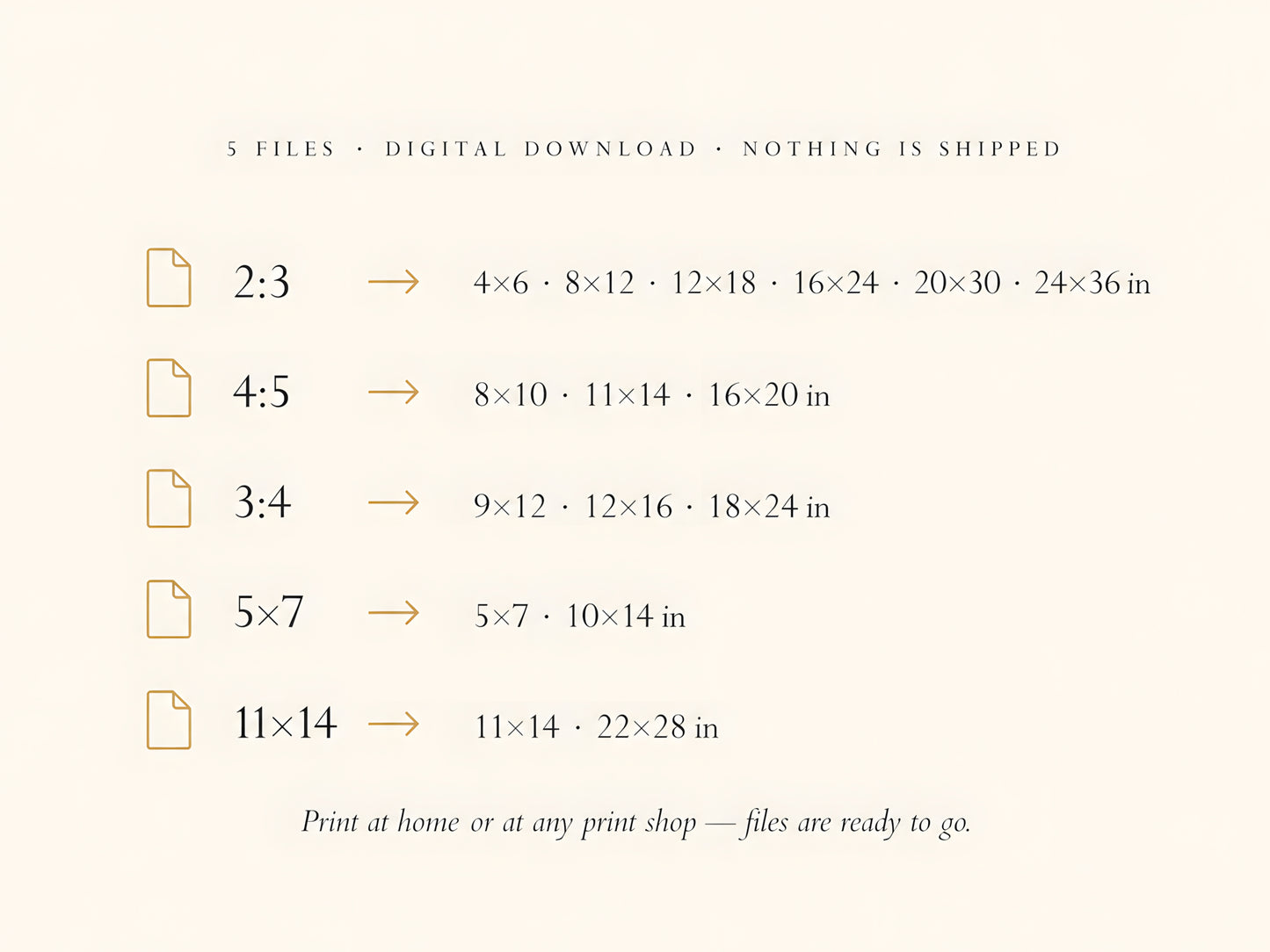 What's Included infographic listing 5 digital download files — 2:3 4:5 3:4 5x7 11x14 ratios with all print sizes

