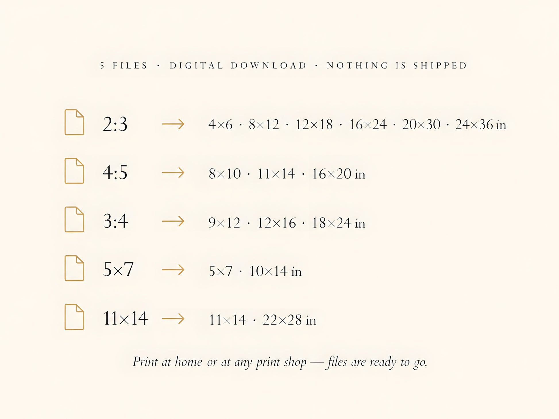 What's Included infographic panel listing all five file ratios and print sizes on a cream background

