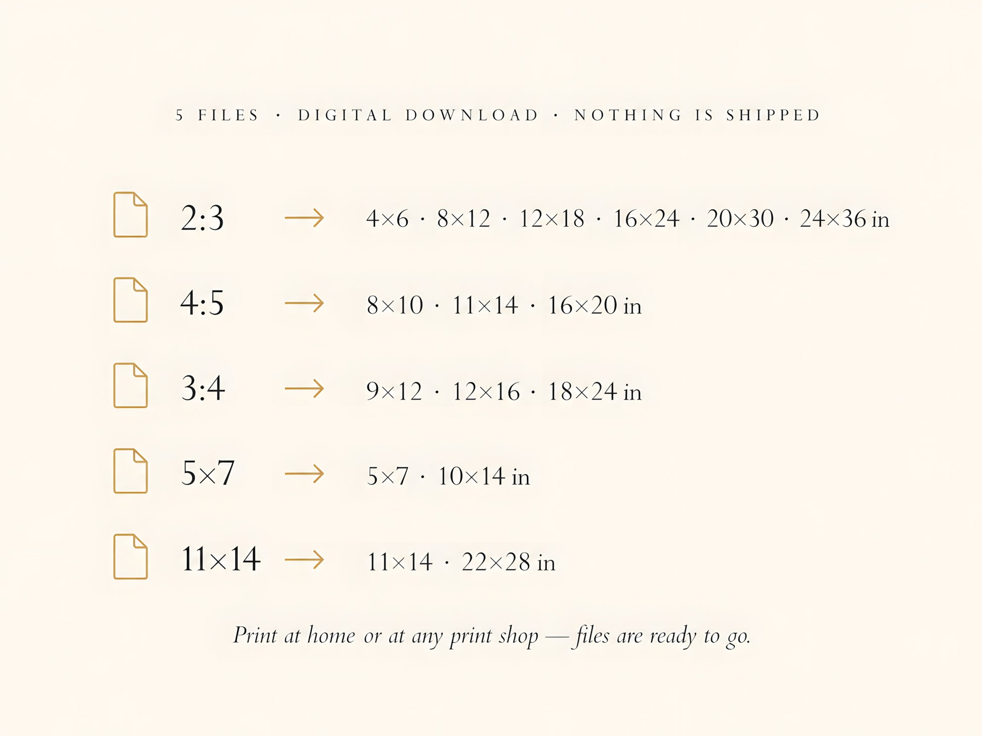 What's Included infographic listing 5 digital download files — 2:3 4:5 3:4 5x7 11x14 ratios with all print sizes

